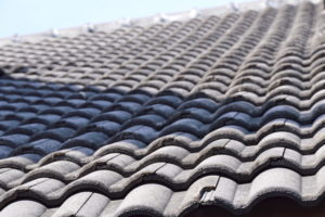 damaged roof for birds