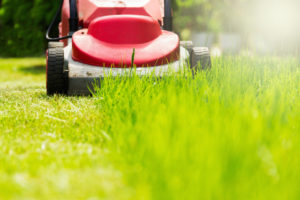 mowing your lawn can deprive ticks of a place to live