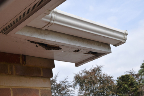 Soffit
