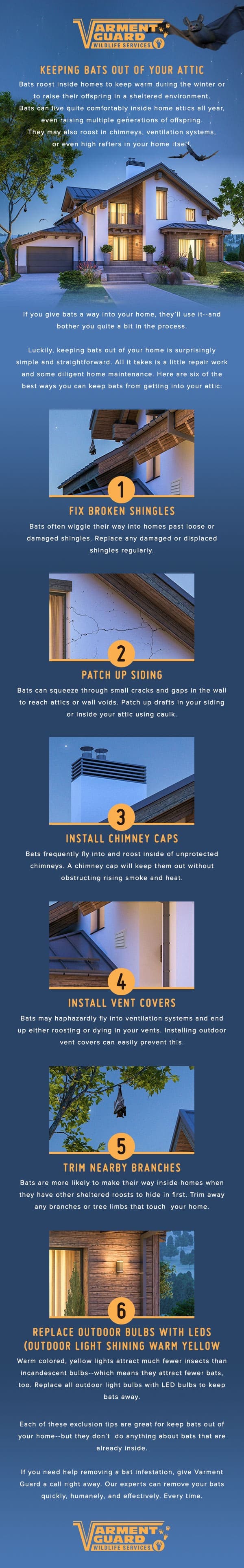 How to keep bats out of your attic