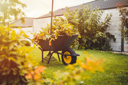 How to Humanely Deter Groundhogs From Your Yard - Varment Guard