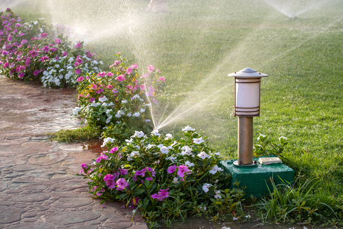 How to Humanely Deter Groundhogs From Your Yard - Varment Guard