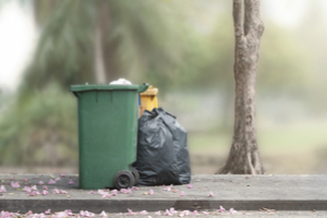 seal your garbage dumpster to keep raccoons out