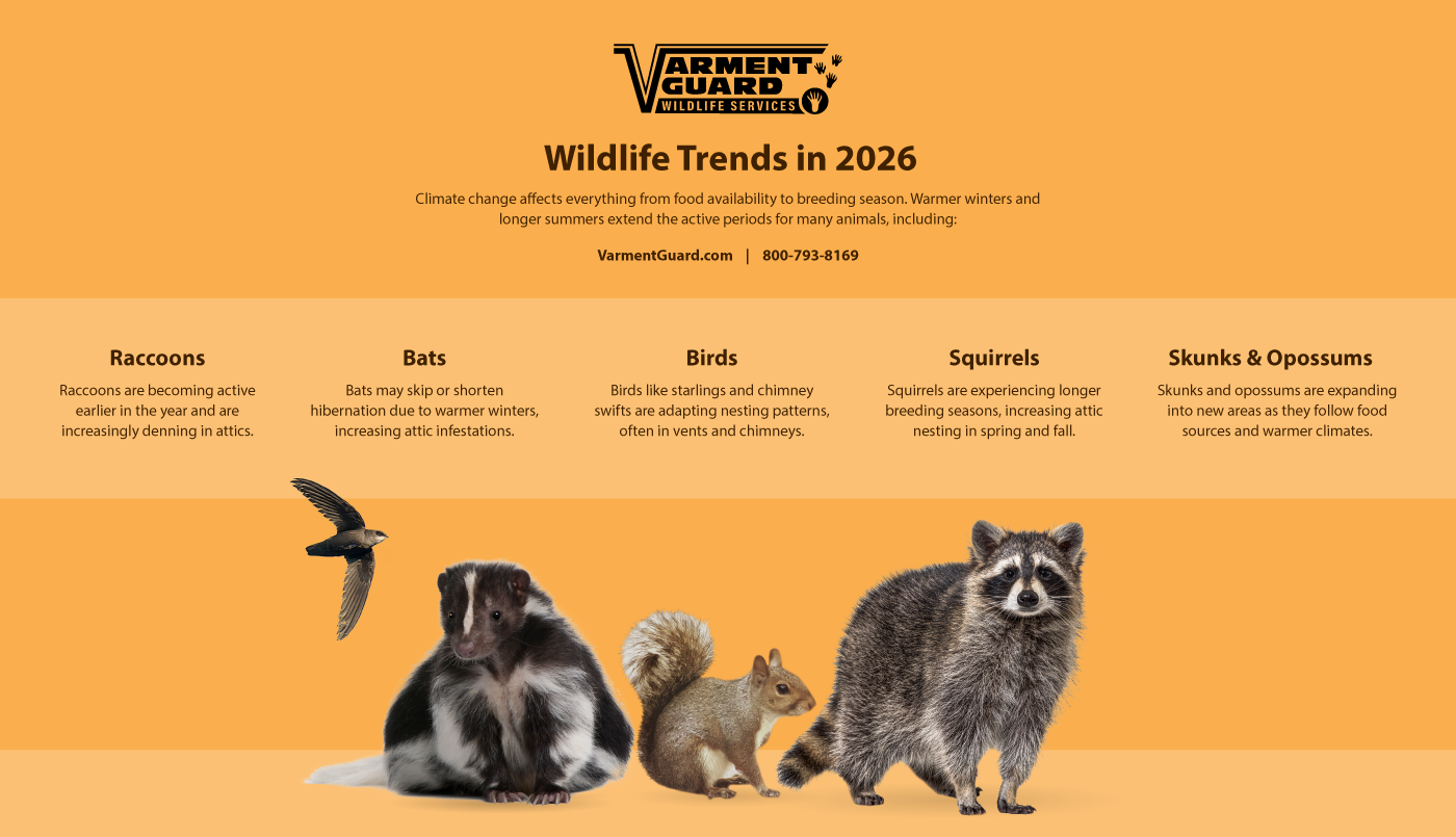 Vg 2026 Wildlife Info R2 (1)