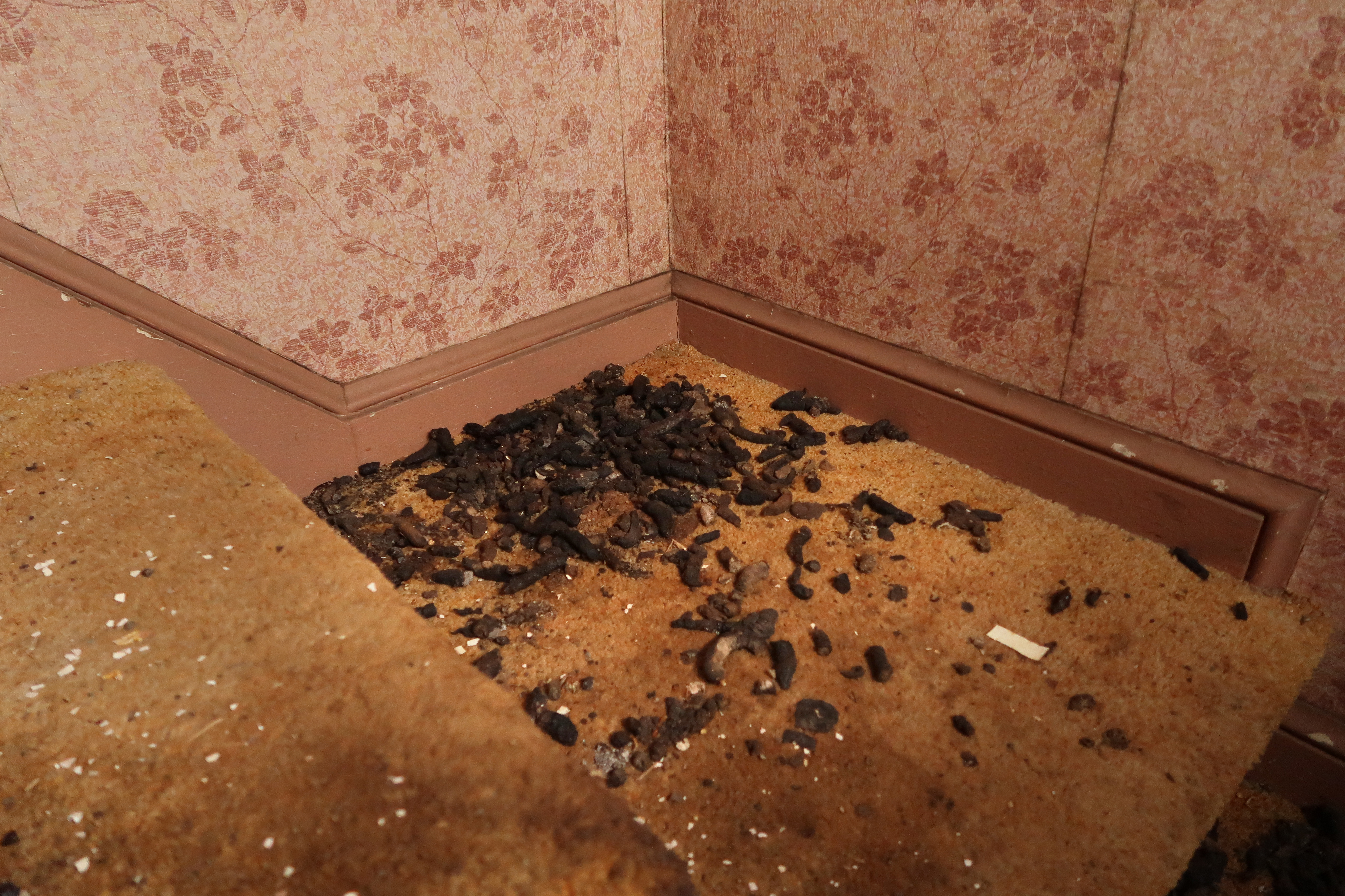 Shutterstock 790102747 (2)