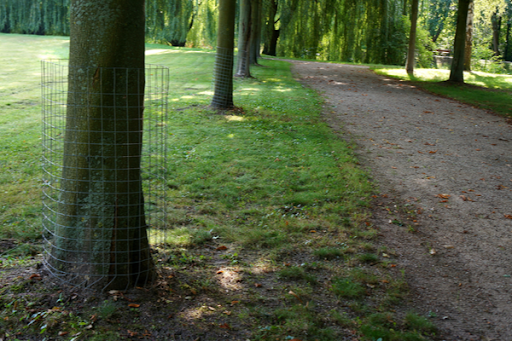 Rabbit prevention fences. How can I keep rabbits from getting food near me?