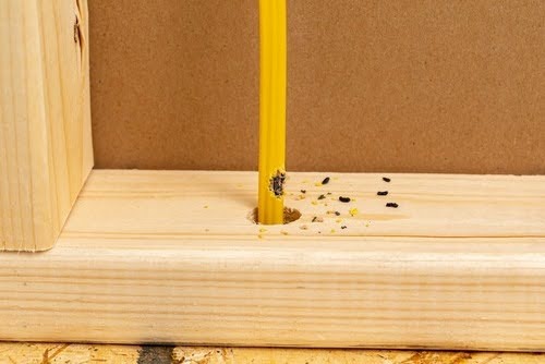 Chewedwiring