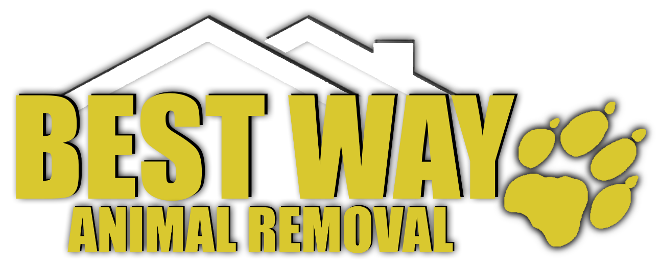 Best Way Logo