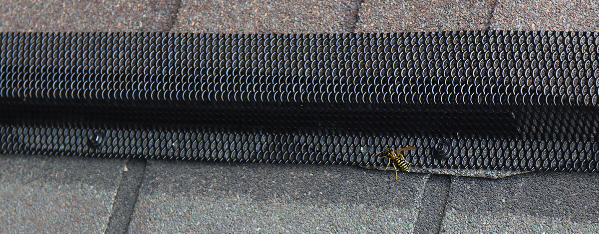 Ridge Guard Wasp Exclusion