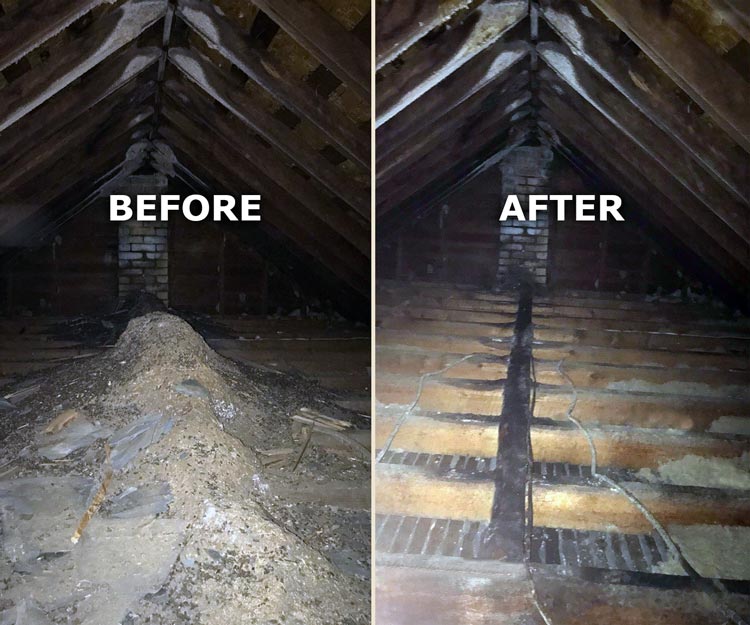 Attic Clean Out Before And After
