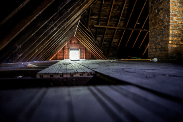 Attic Wildlife Infestations