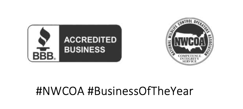 Bbb Nwcoa Accredited Badge