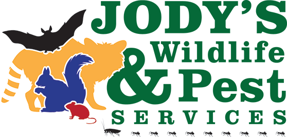Jodys Logo2