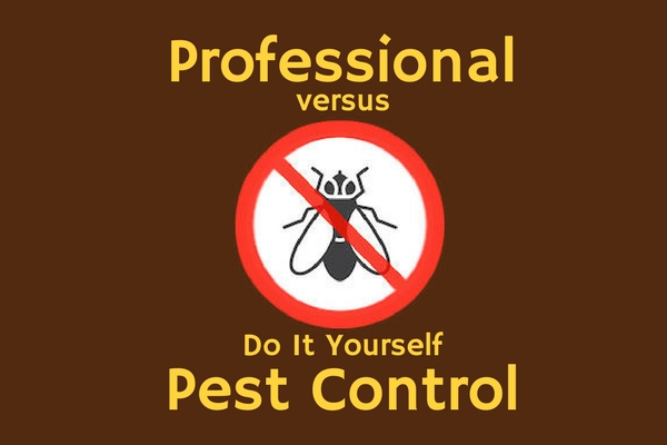 professional versus diy pest control